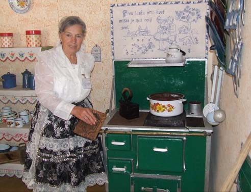 The visitors of the rustic house in Vojlovica were welcomed by a housewife.