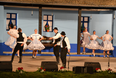 Dance group from Petrovec has performed a choreography called I fell in love with a girl. 