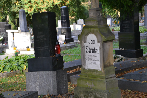 Na Národnom cintoríne sú aj hrobky významných osobností z radov vojvodinských Slovákov.