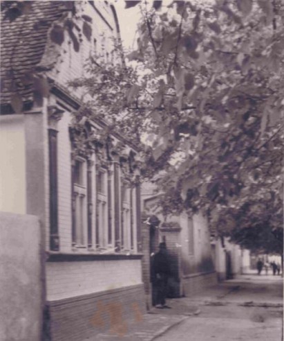 Moruše pred domom Paľa Sklabinského