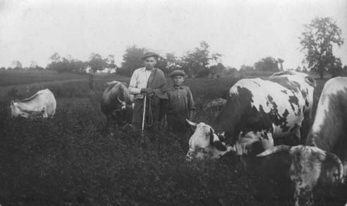 Pasenie kráv v Báčskom Petrovci 1929. Fotografiu poskytla Zuzana Medveďová Koruniaková.