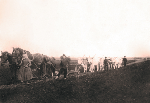 Oračka u Kotvášov, Padina 1925    Fotografiu poskytla Andrea Lomenová