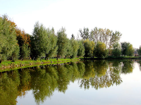 Hložiansky rybník